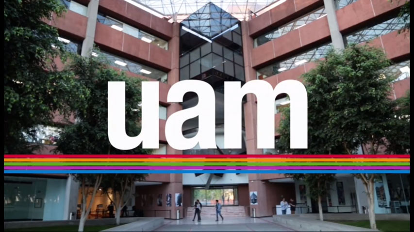 La Constitución de la Ciudad de México; realidades y retos.