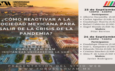 ¿CÓMO REACTIVAR A LA SOCIEDAD MEXICANA PARA SALIR DE LA CRISIS DE LA PANDEMIA?